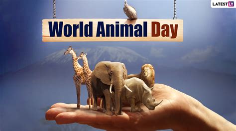 National Animal Day 2023 Celebrate And Appreciate Our Animal Friends