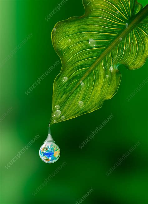 Earth In A Drop Of Water Stock Image C0032763 Science Photo Library
