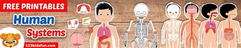 Human Body Systems For Kids Free Printables 123 Kids Fun Apps Images