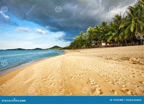 Exotic Tropical Beach Stock Photo Image Of Beach Nature 19532488
