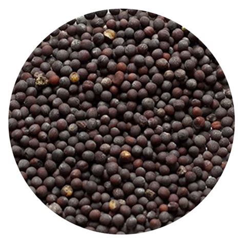 Buy Iag Foods Black Mustard Seeds 450 Gm Best Price And Reviews In