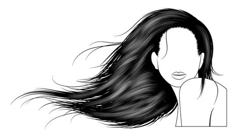 How To Vector Hair With Brushes In Adobe Illustrator