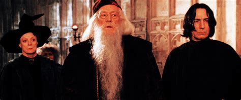 Albus Dumbledore.」 | Wiki | •Harry Potter• Español Amino