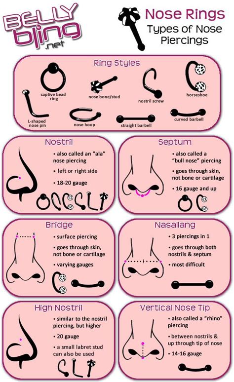 Types Of Body Piercings Chart