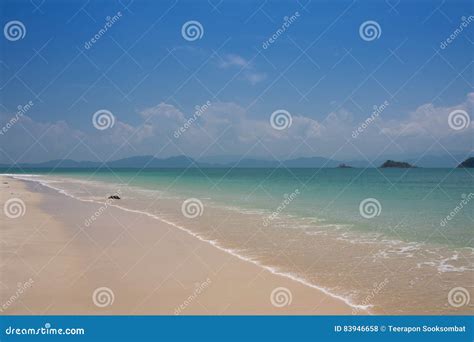 Beautiful Sea And Blue Sky At Andaman Seathailand Stock Photo Image