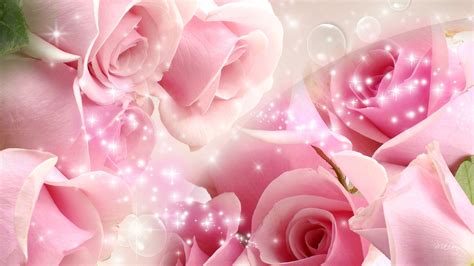 Flower,picture,pink,rose,wall flowers stock photos and more images at freedesignfile.com. pink roses - Google Search | Beautiful pink roses, Flower ...