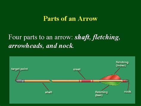 Parts Of An Arrow You Need To Know Beginners Guide 2022
