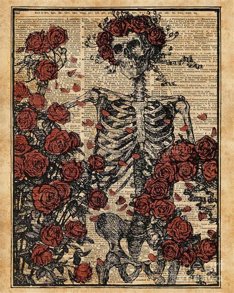 Skeleton Art Skeleton With Roses Book Arthuman Anatomy Digital Art By