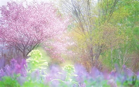 Selected Spring Wallpaper Pastel You Can Use It Free Of Charge Aesthetic Arena