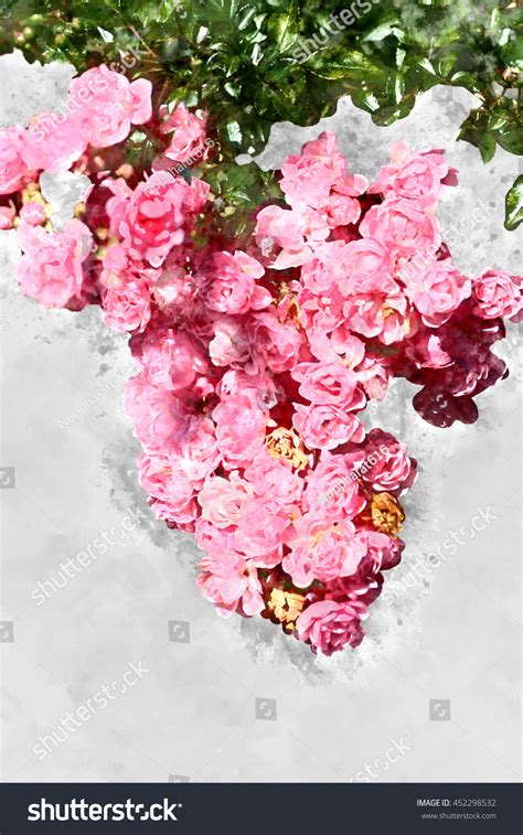 Watercolor Image Mini Pink Roses Stock Illustration 452298532
