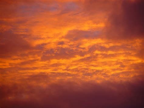 Free Picture Golden Clouds Sunset