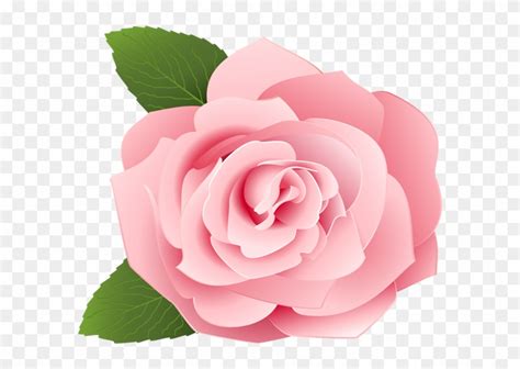 【人気ダウンロード！】 Pink Flower Png Rose 133191 Pink Rose Flower Images Png