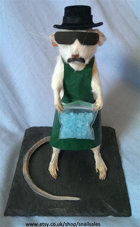 Heisenberg Breaking Bad Taxidermy Rat. by Snailsales on Etsy | Bad