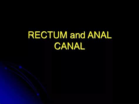 Ppt Rectum And Anal Canal Powerpoint Presentation Free Download Id6528401