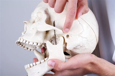 Jaw Pain Symptoms Causes Treatments And Relief