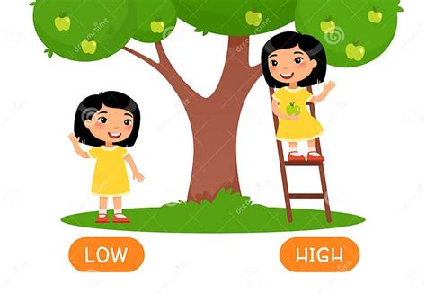 Low And Hight Antonyms Word Card Vector Template Flashcard For English