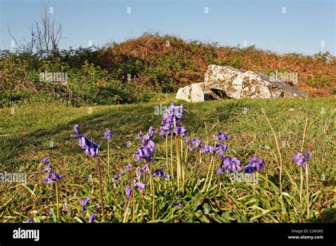 Penmaen Burrows Burial Chamber Gower Wales Stock Photo Alamy
