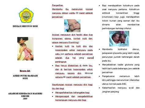 Anike Putri Mardani Leaflet Inisiasi Menyusui Dini