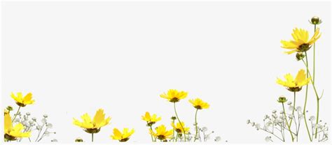 Free Flower Photo Overlay Photoshop Overlays From Flower Overlay Png