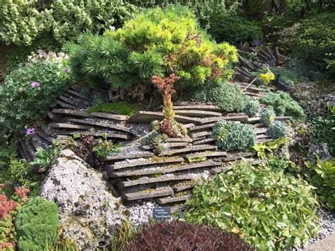 Épinglé par ann schofield sur flowers jardin méditerranéen jardin de rocaille amenagement jardin