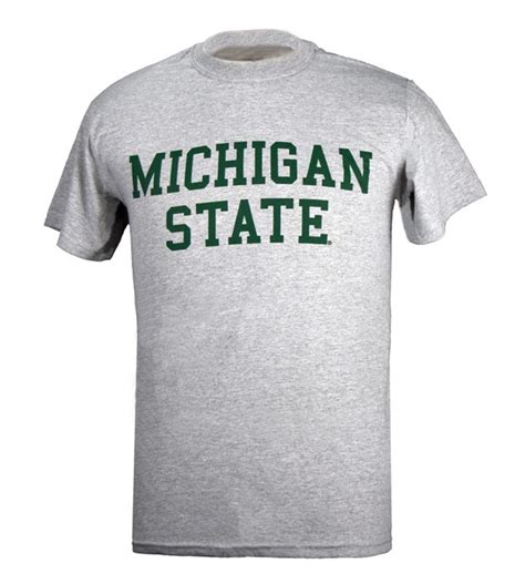 Gray Michigan State T Shirt