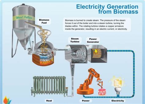 How Electricity Is Generated From Biomass Earth And Human