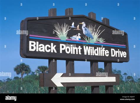Merritt Island National Wildlife Refuge Black Point Wildlife Drive