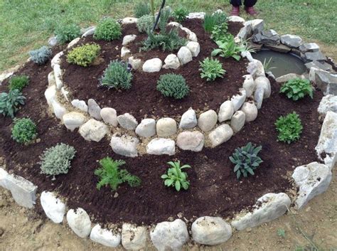 How To Plant Spiral Herbal Gardens Correctly List With Suitable