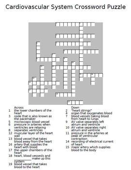 Help your students refresh their musical vocabulary with this fun music crossword puzzle! Cardiovascular System Unit ... by The Teacher Team ...