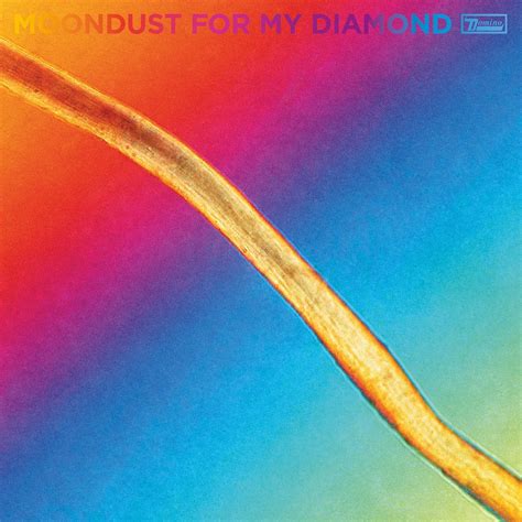 Hayden Thorpe Annunciato Il Nuovo Album Moondust For My Diamond In