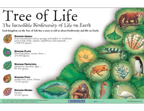 Teachingisat Science Must Read Mentor Text The Tree Of Life