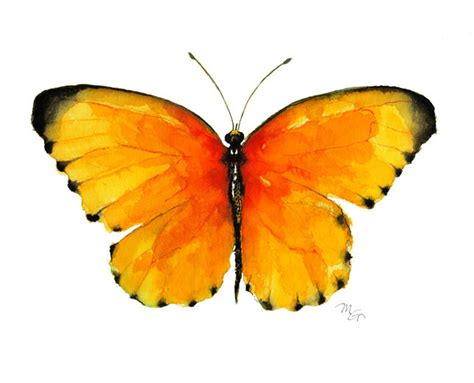 Orange Butterfly Watercolor Giclee Print Butterfly Decor Etsy