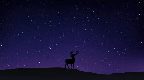 Night Sky Deer Minimal 5k Wallpaperhd Artist Wallpapers4k Wallpapers