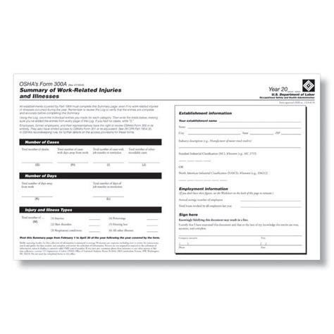 Osha Form 300a Fillable Pdf Printable Forms Free Online