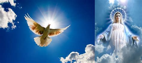 The spirit also enables supernatural gifts and signs to operate, such as prophecy and speaking in the holy spirit was already indwelling peter, but on this occasion an extraordinary impartation of that is, no matter how much of the holy spirit one may have, there's always room for more (see. The coming Era of the Holy Spirit and Mary