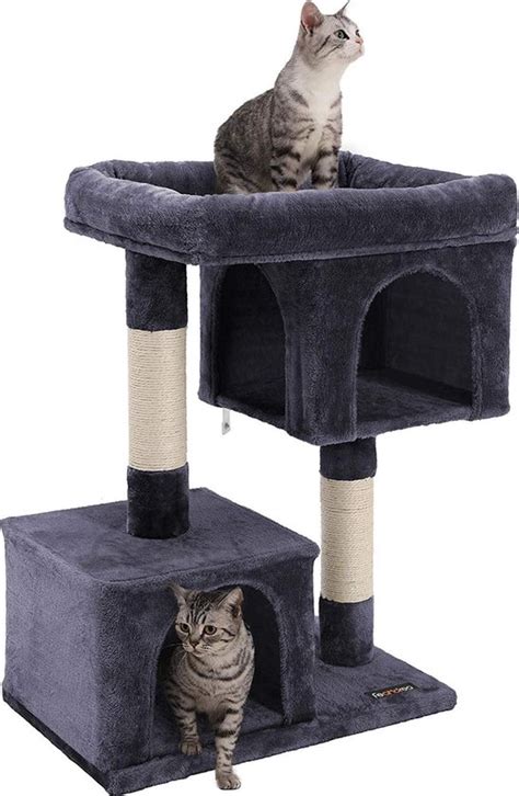 Katten Krabpaal Klein Kattenboom Met Pluizig Uitzichtplatform