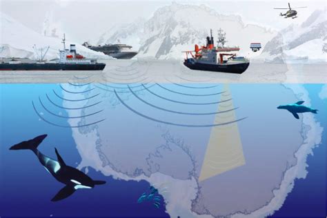 Frontiers Managing The Effects Of Noise From Ship Traffic Seismic