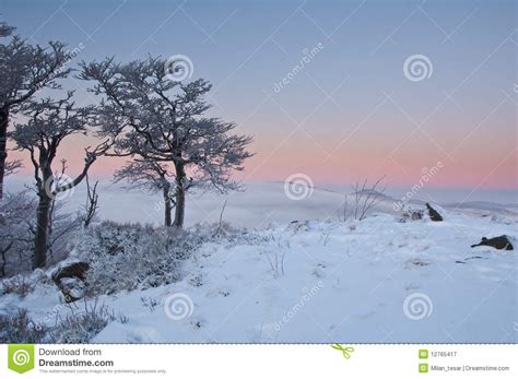 Winter Sunrise Stock Image Image Of Snow Forest Mist 12765417