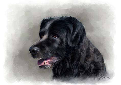 Dog Portrait Painting By Michael Greenaway