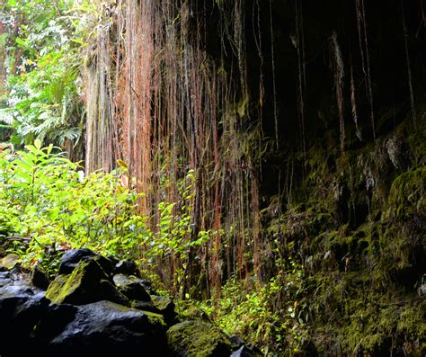 The Best List Of Caves In Hawaii World Of Caves