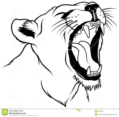 Easy, step by step lioness drawing tutorial. Lioness Head stock vector. Image of drawing, wildlife ...