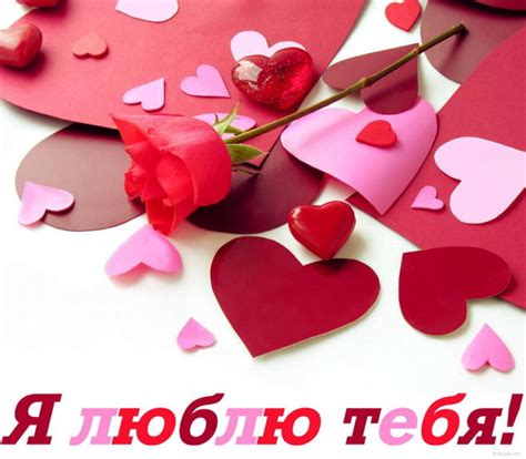 Романтические картинки Я тебя люблю 50 картинок 🤣 Weblinks