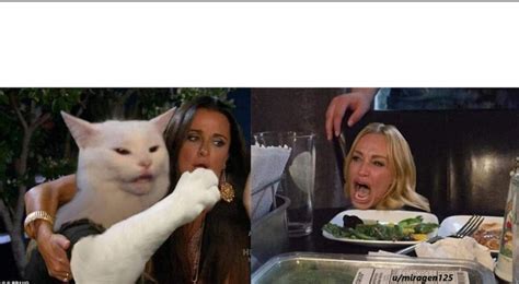 Meme Generator Girl Yelling At Cat Meme
