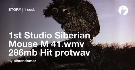 1st Studio Siberian Mouse M 41wmv 286mb Hit Protwav Coub