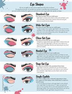 Eye Shape Makeup Application Mary Eyeshadow Eyeshadow Base How To