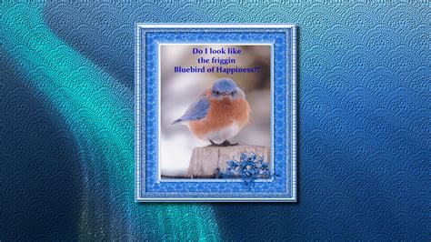 quotes about bluebirds 25 quotes