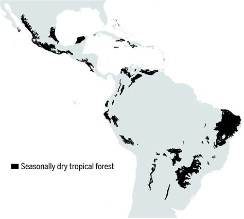 Plant Diversity Patterns In Neotropical Dry Forests And Their