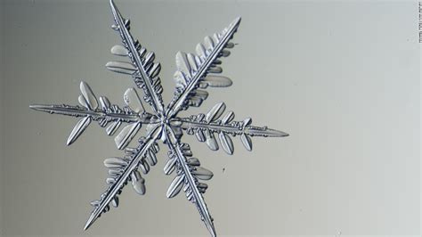 Capturing Snowflakes Under A Microscope