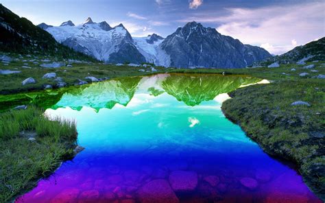 78 Awesome Nature Backgrounds On Wallpapersafari