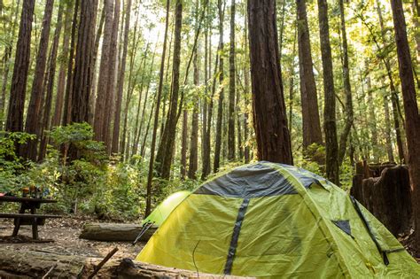 The Best Santa Cruz Camping From The Beach To The Forests